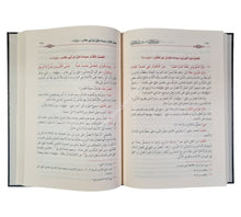 ضوء اللآلي شرح بدء الأمالي
