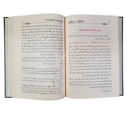 ضوء اللآلي شرح بدء الأمالي