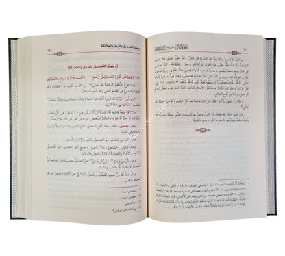 ضوء اللآلي شرح بدء الأمالي