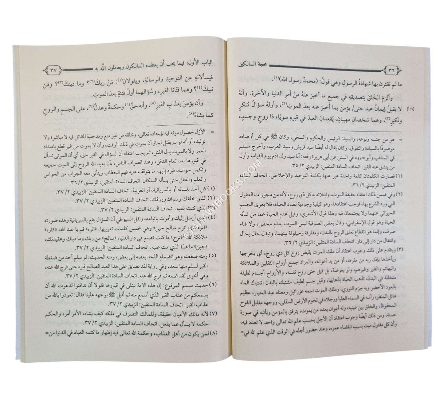 محجة السالكين