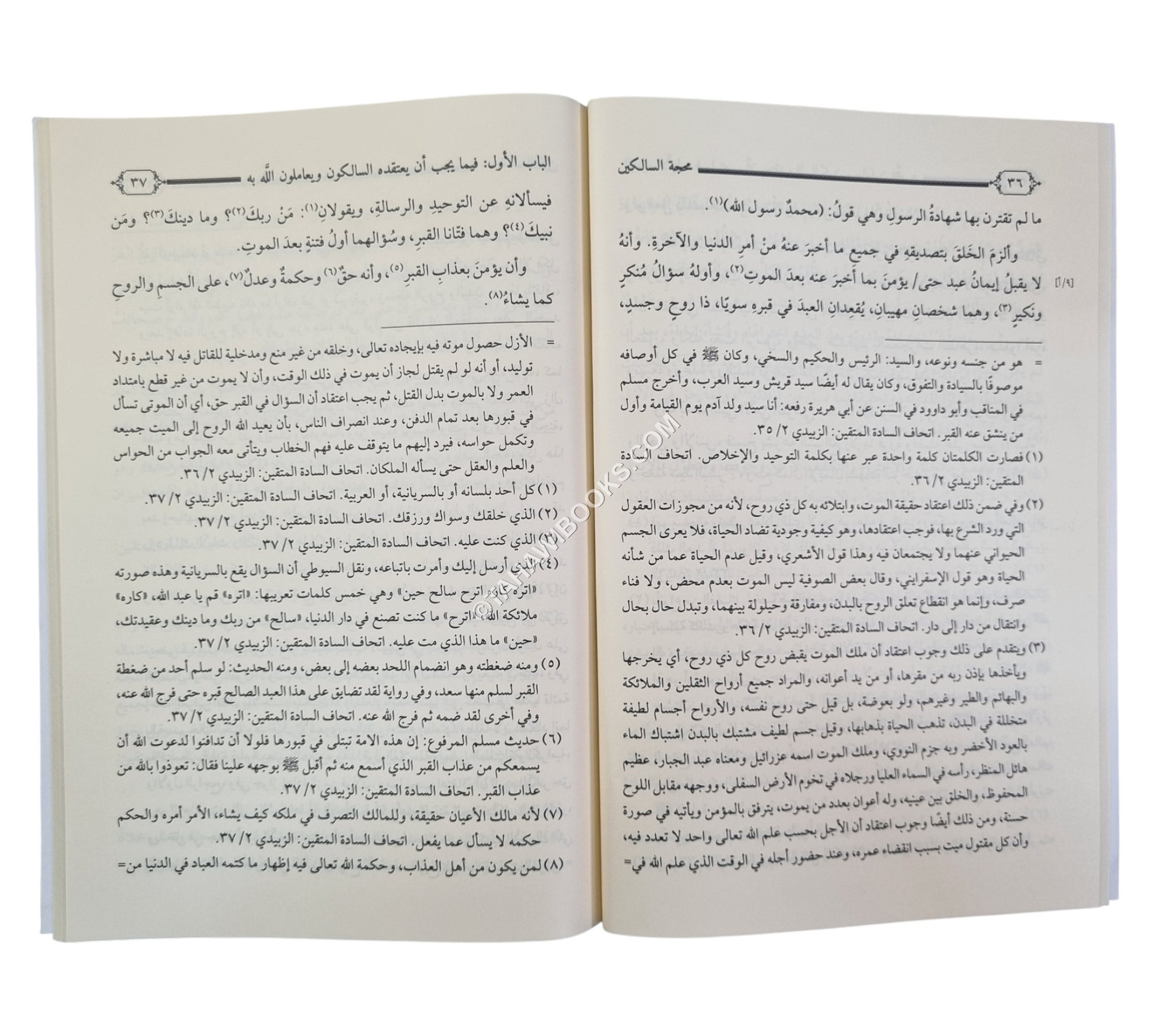 محجة السالكين