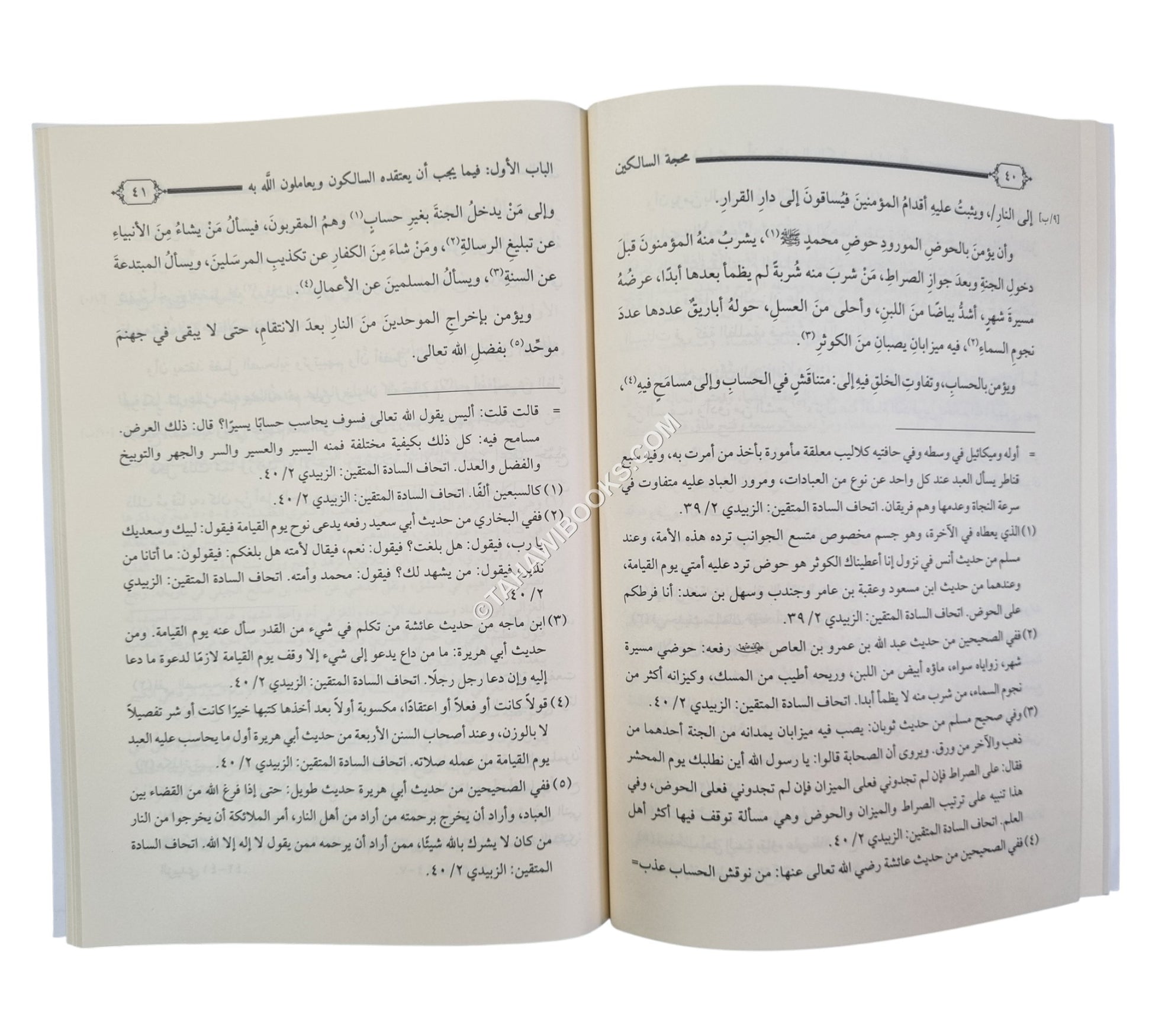 محجة السالكين