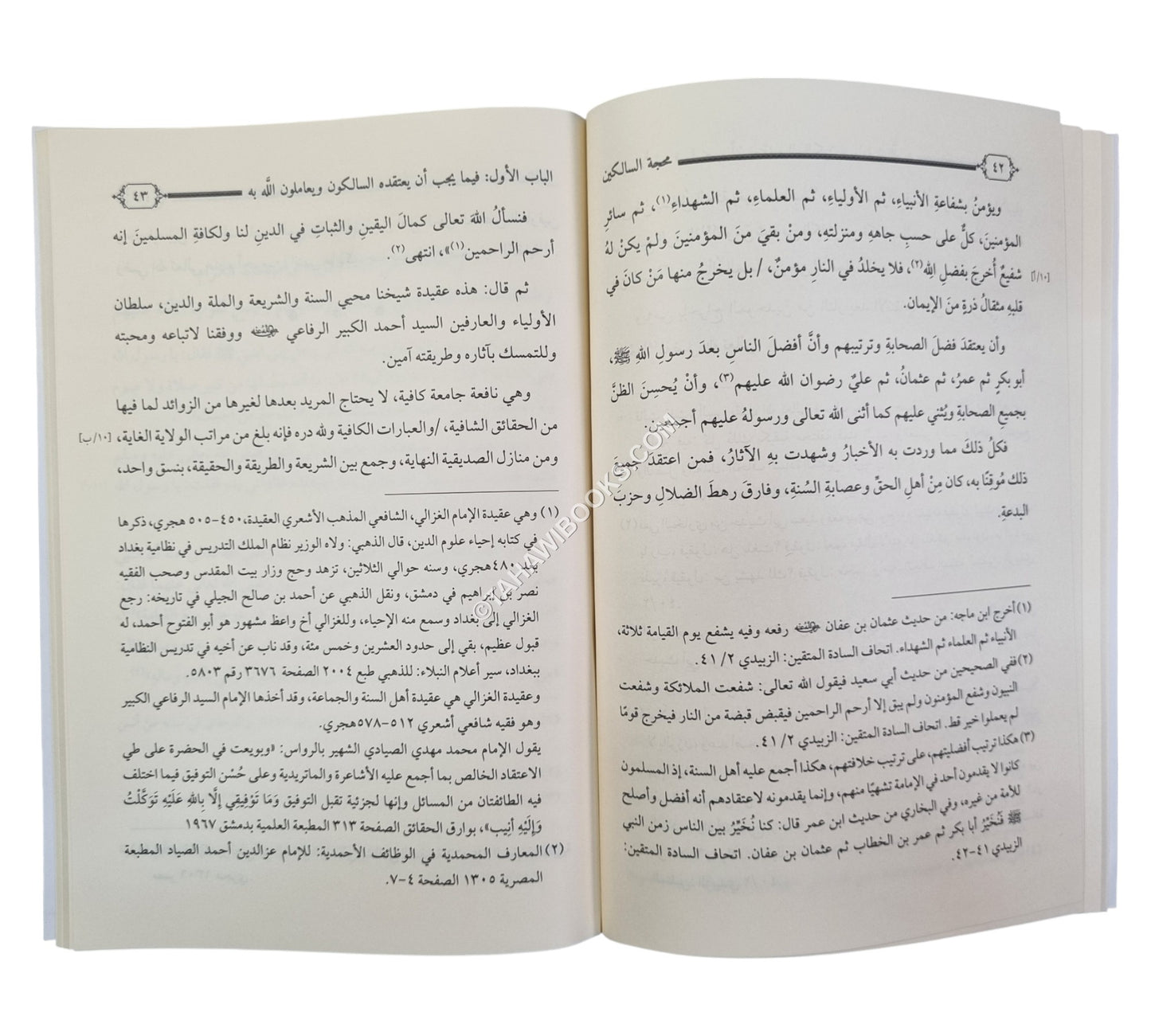 محجة السالكين