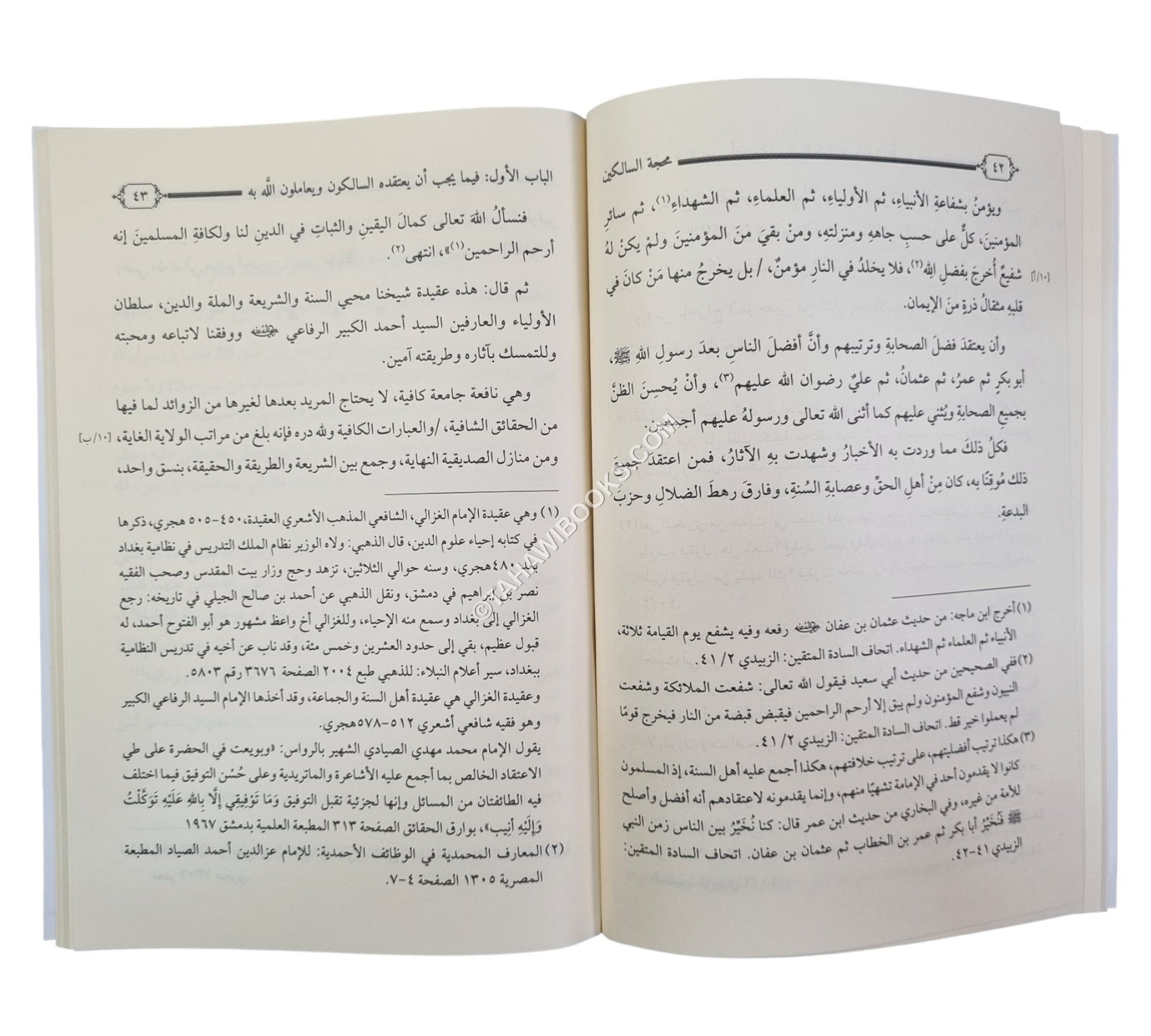 محجة السالكين