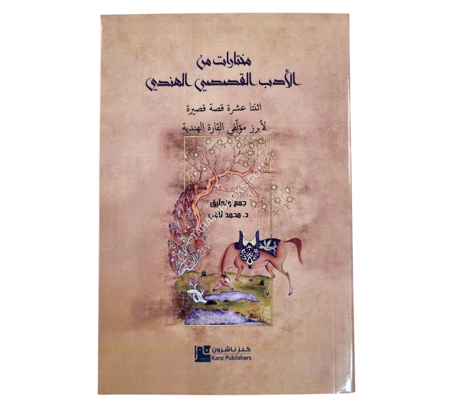 مختارات من الأدب القصصي الهندي-12 قصة قصيرة لأبرز مؤلفي القارة الهندية