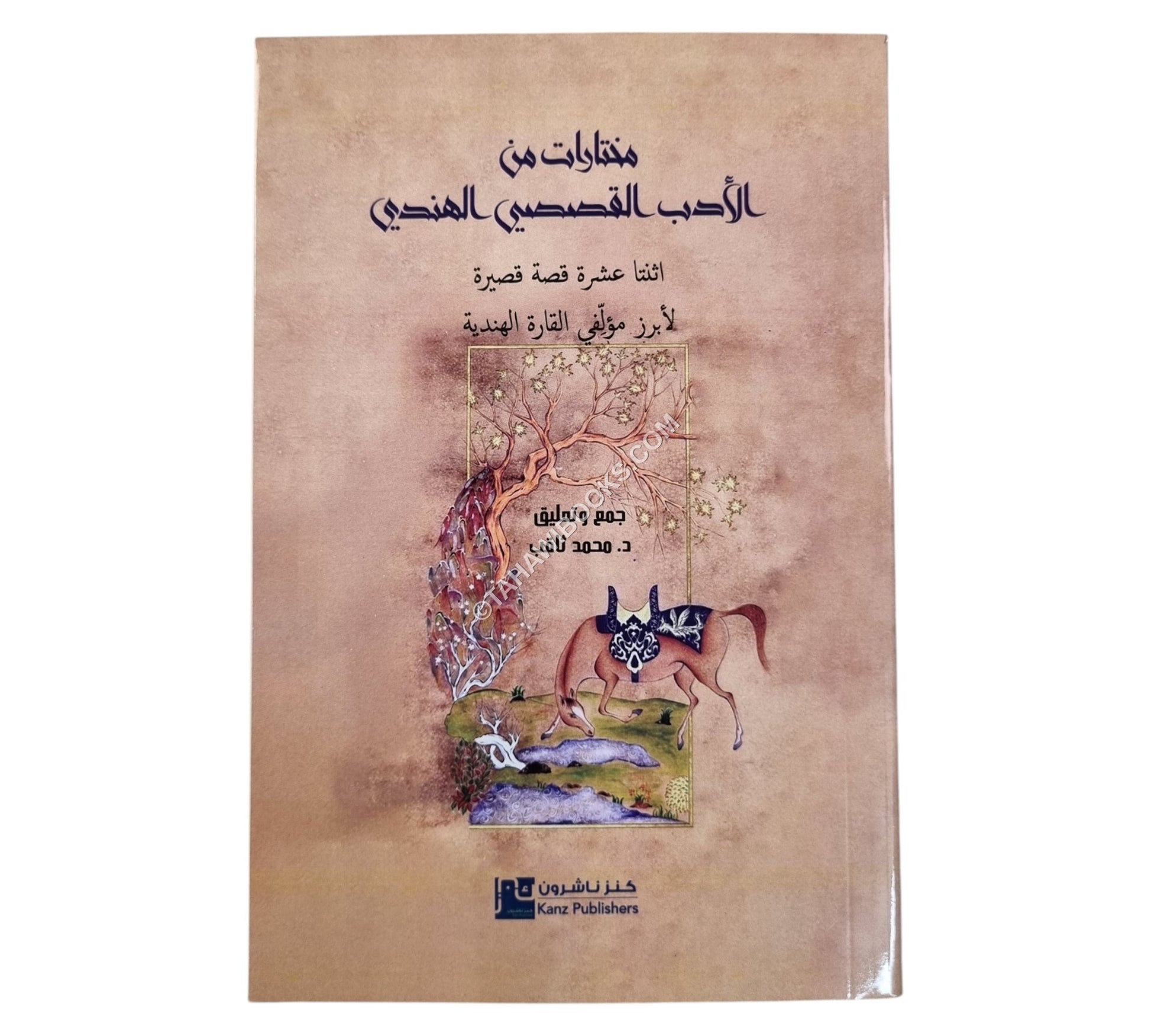 مختارات من الأدب القصصي الهندي-12 قصة قصيرة لأبرز مؤلفي القارة الهندية