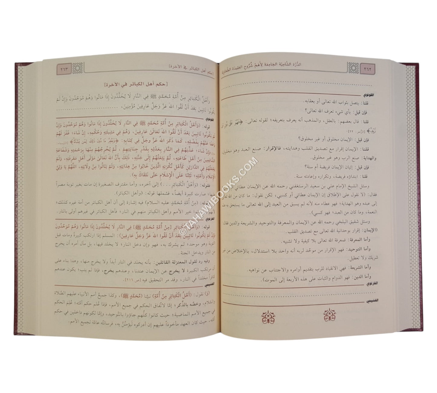الدرة الشامية الجامعة لشروح العقيدة الطحاوية