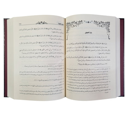 زجاجة المصابيح-إسماعيل