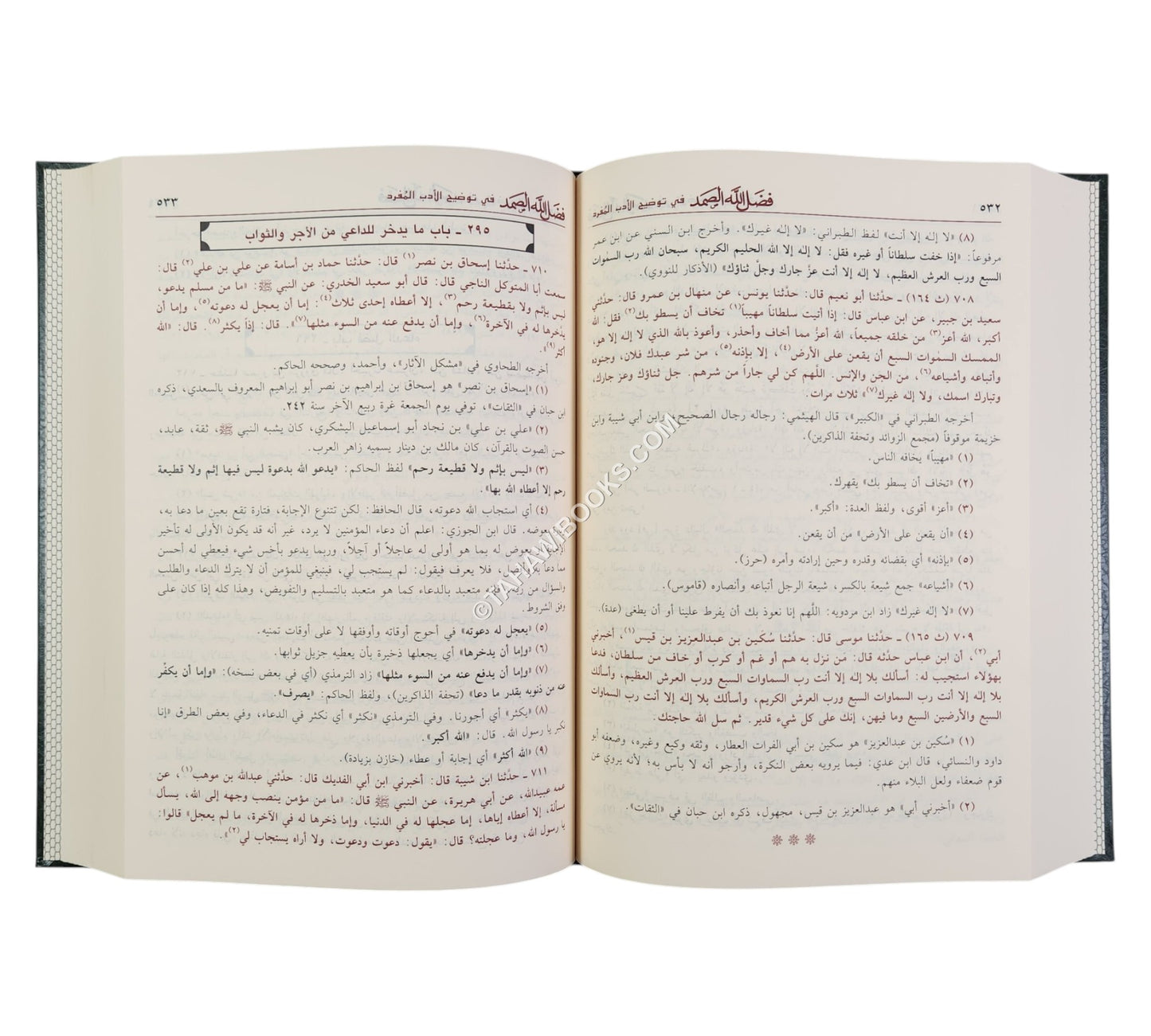 فضل الله الصمد في توضيح الأدب المفرد-ابن حزم