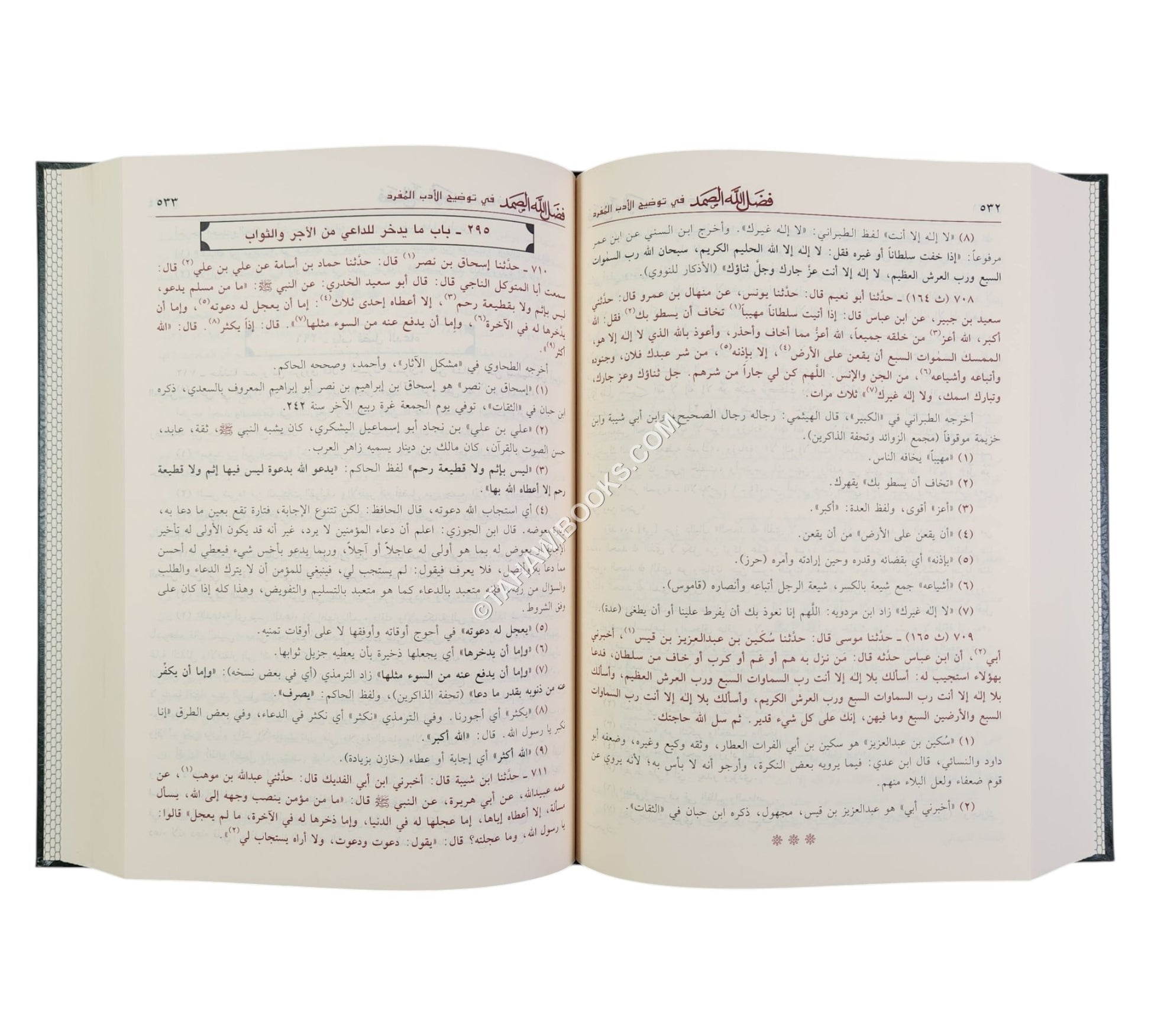 فضل الله الصمد في توضيح الأدب المفرد-ابن حزم