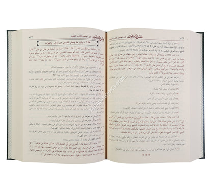 فضل الله الصمد في توضيح الأدب المفرد-ابن حزم