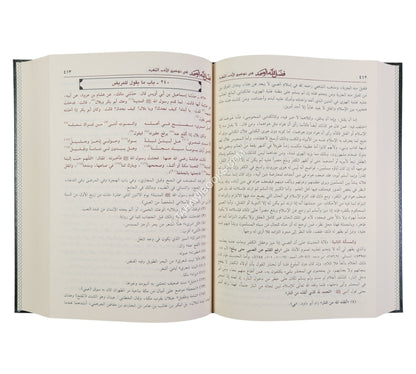 فضل الله الصمد في توضيح الأدب المفرد-ابن حزم