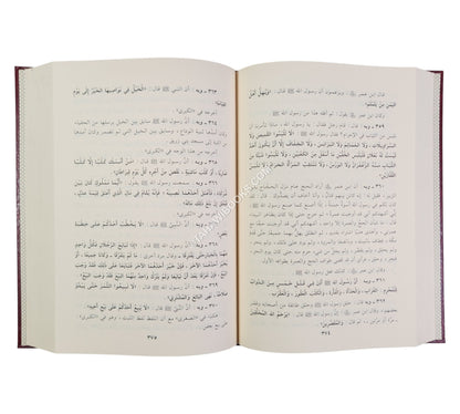 المدخل الى السنن الكبرى والصغرى او اتحاف الداني والنائي بخصائص السنن