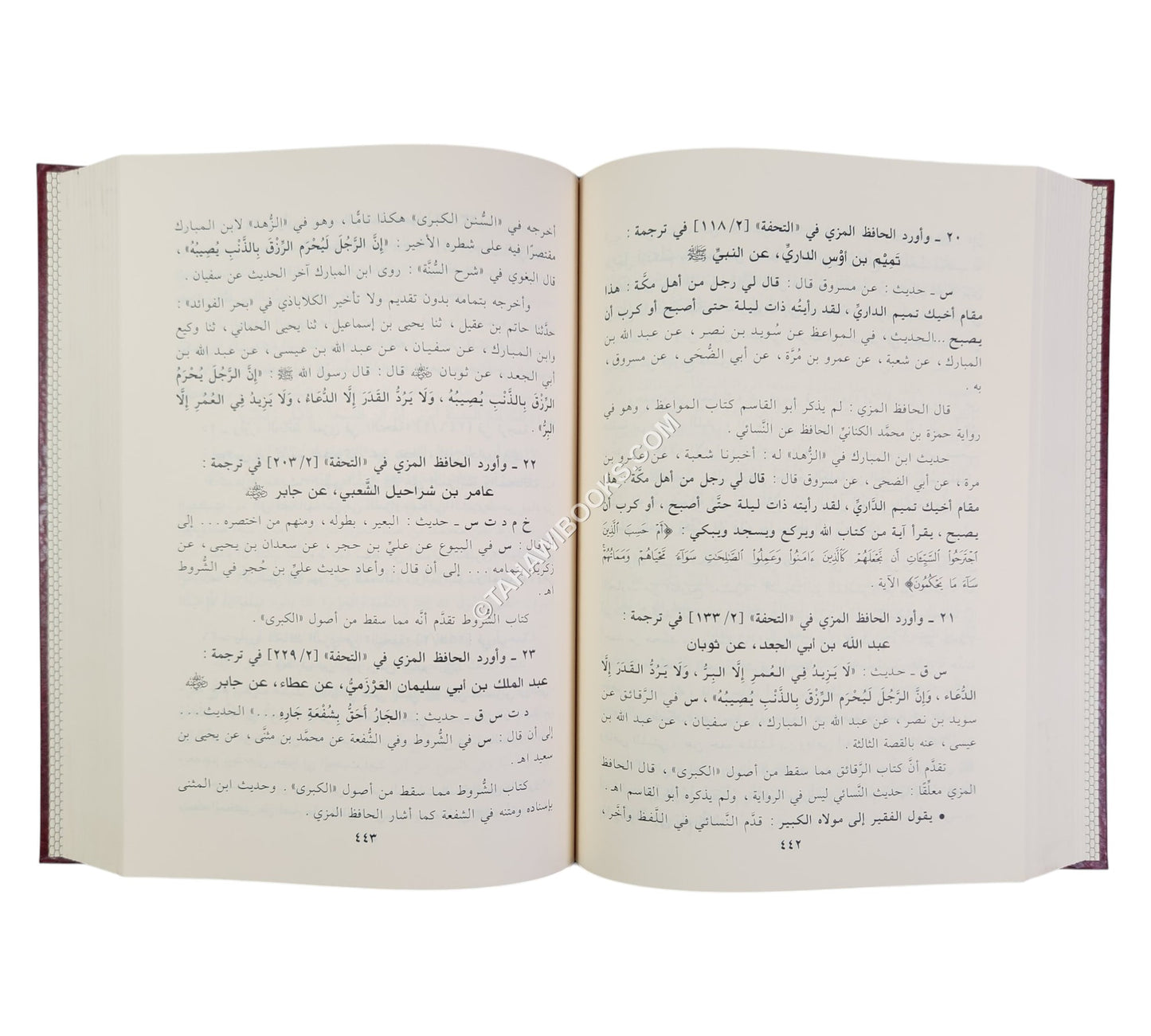 المدخل الى السنن الكبرى والصغرى او اتحاف الداني والنائي بخصائص السنن