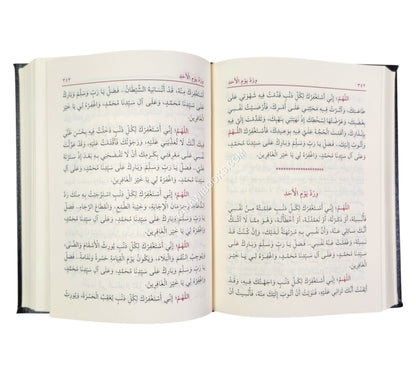 الدعاء مخ العبادة لأهل السلوك والإرادة من كلام الله ورسوله والسلف الصالحين-وسط