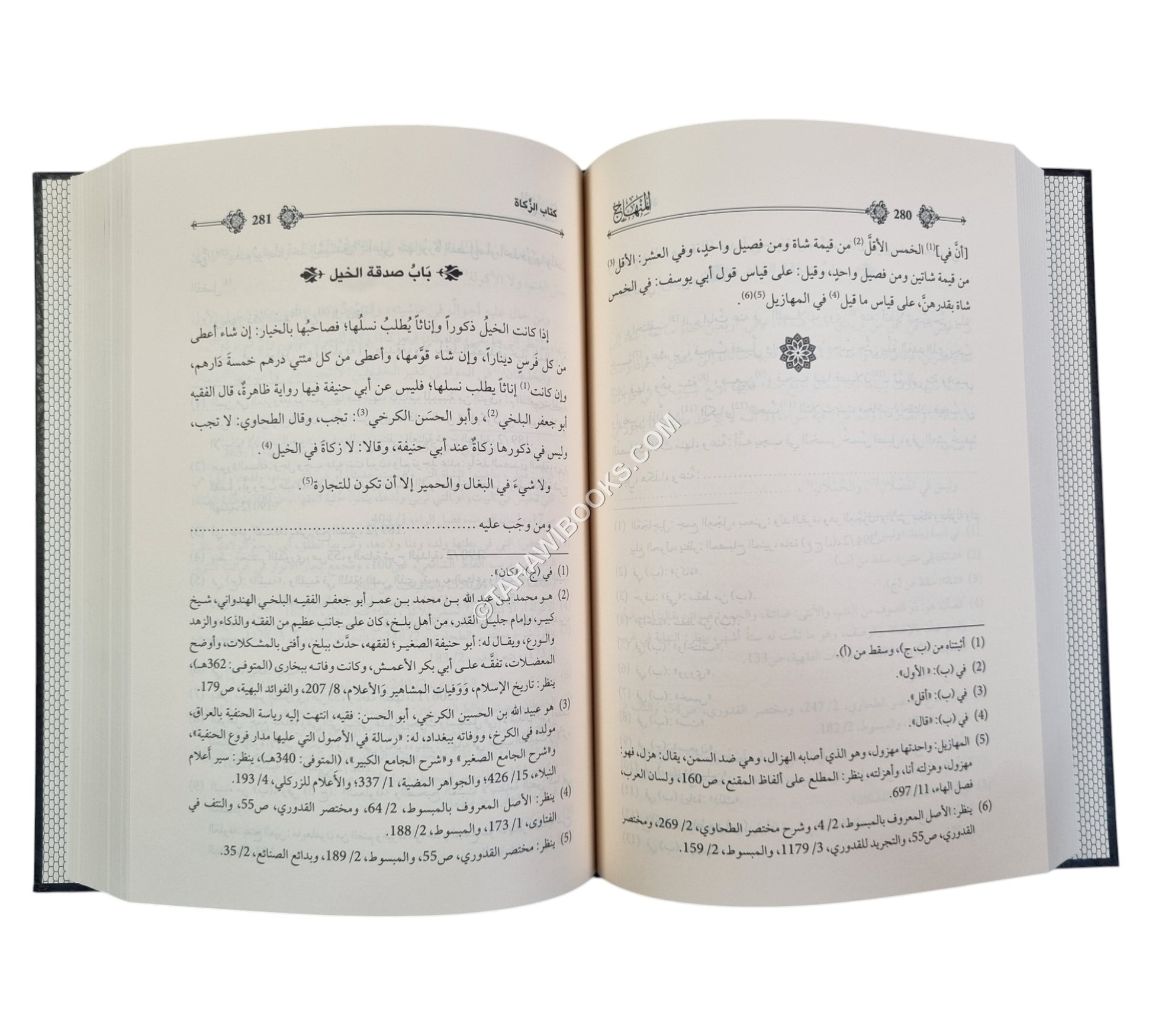 المنهاج في فقه مذهب الأئمة الحنفية