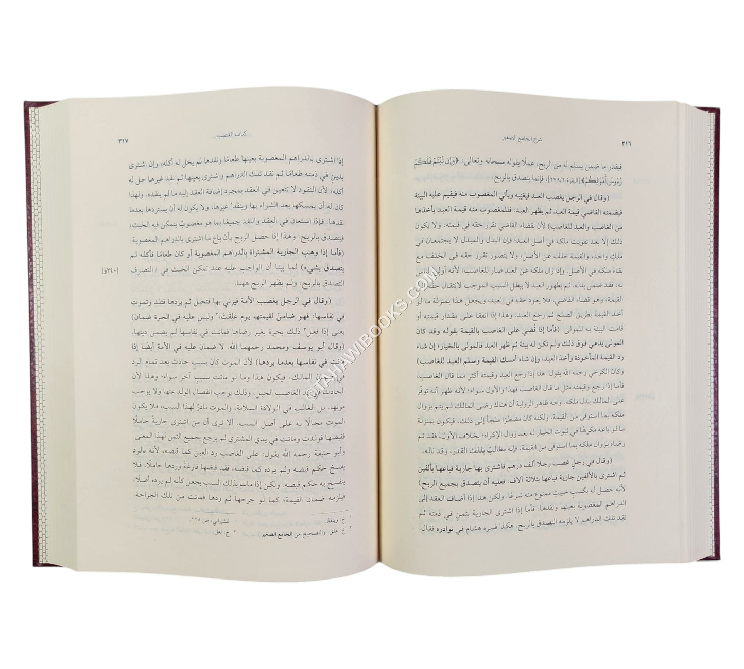 شرح الجامع الصغير للسرخسي
