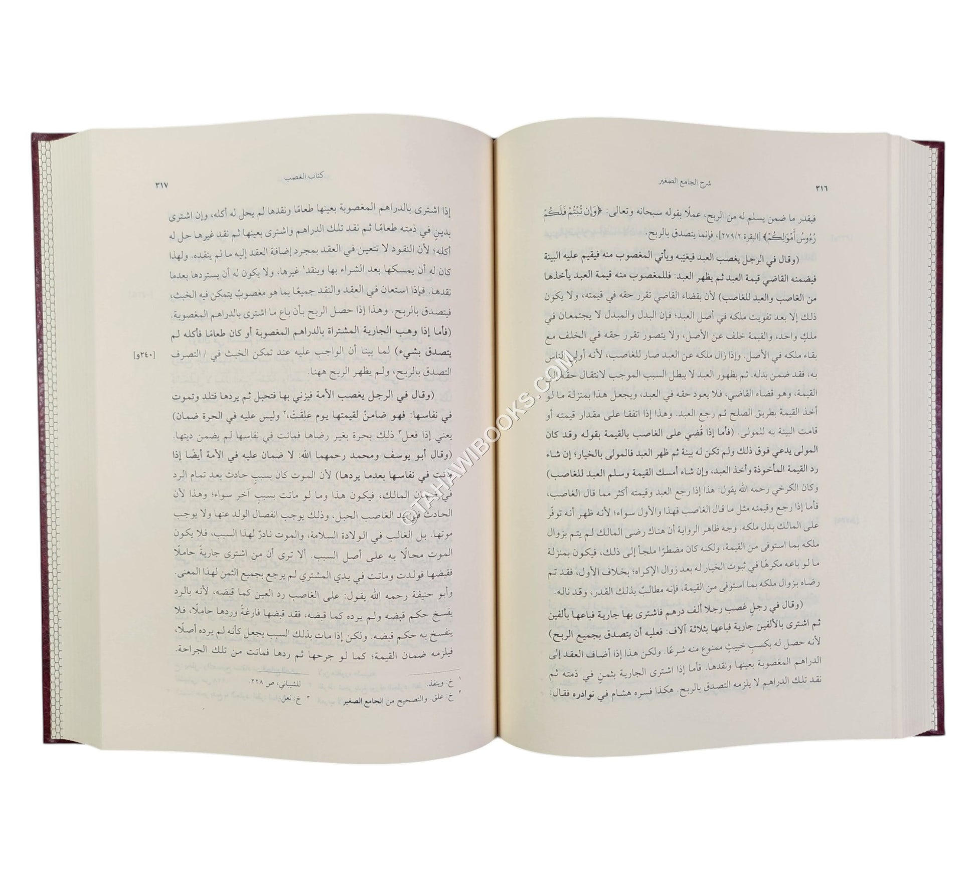 شرح الجامع الصغير للسرخسي