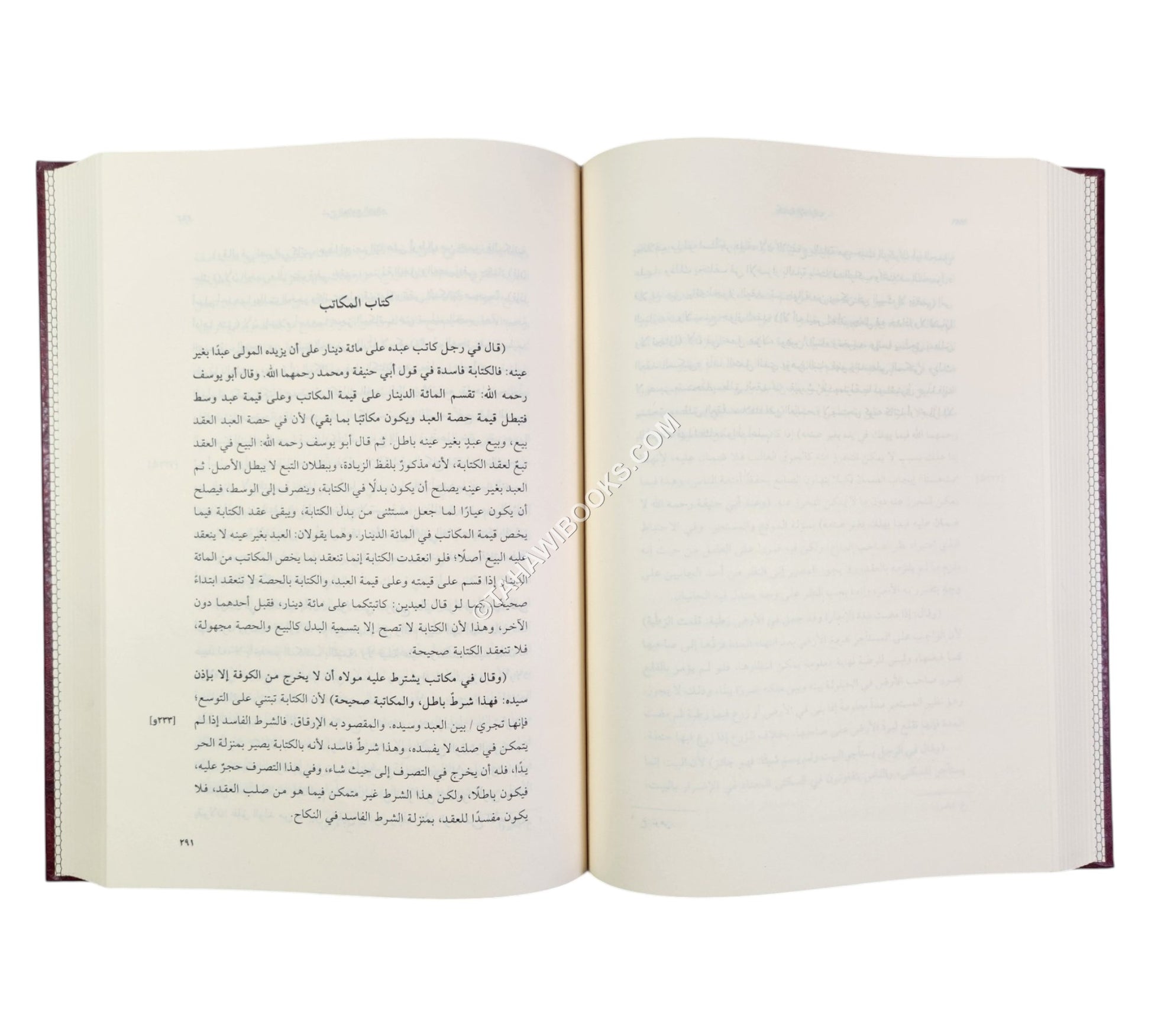 شرح الجامع الصغير للسرخسي