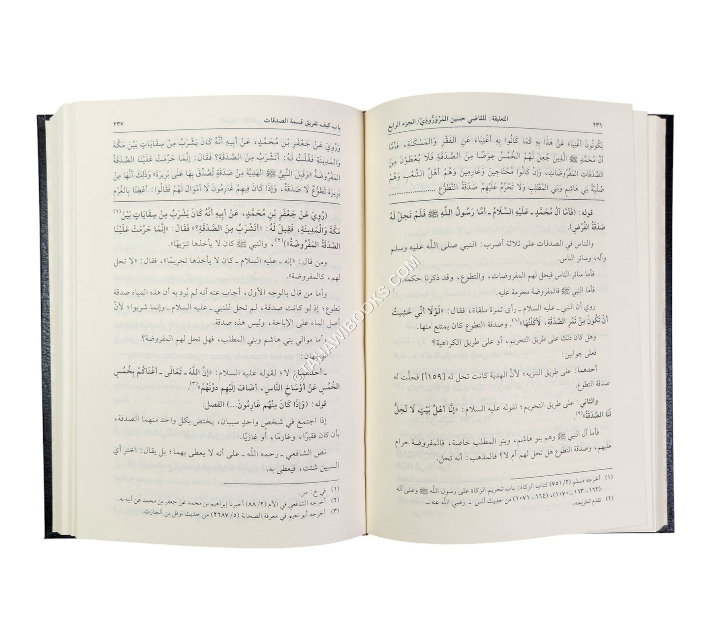 التعليقة:شرح مختصر المزني