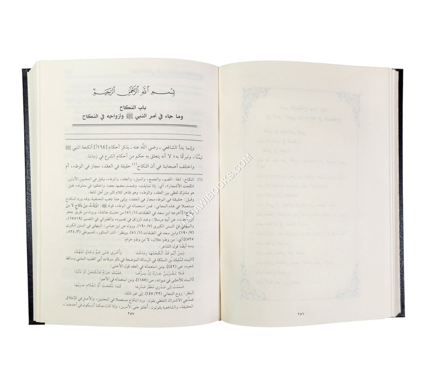 التعليقة:شرح مختصر المزني