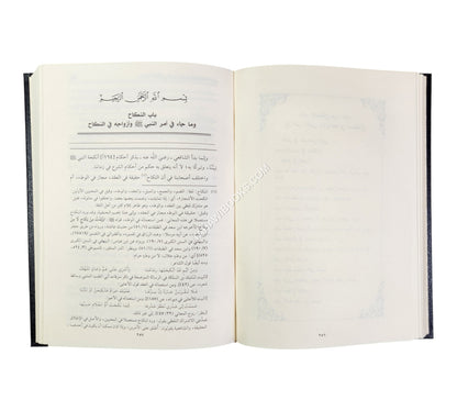التعليقة:شرح مختصر المزني