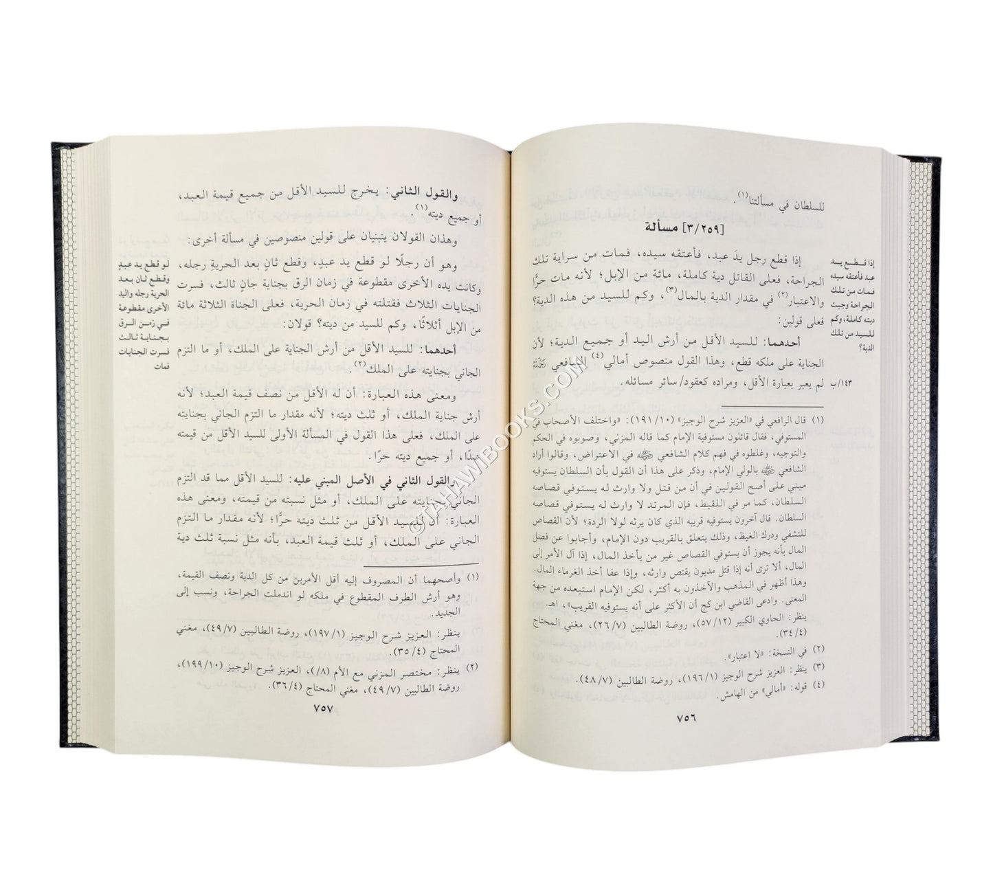 السلسلة في معرفة القولين والوجهين