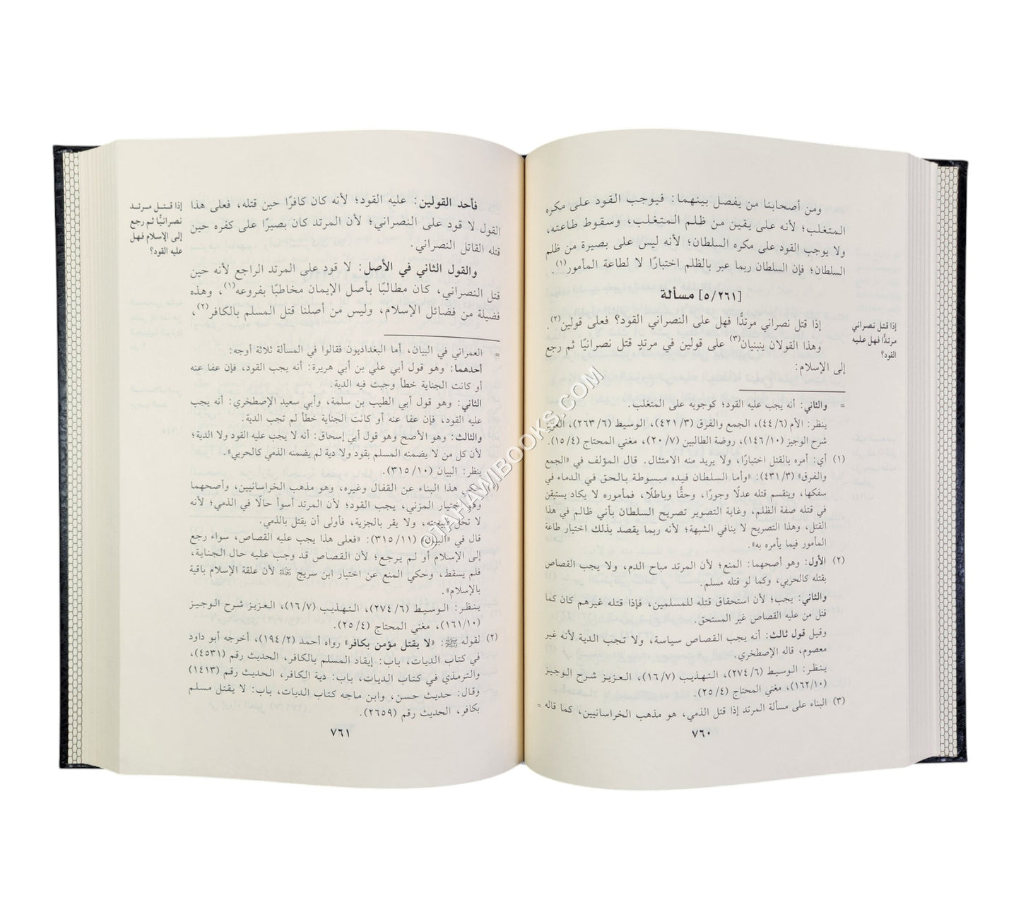 السلسلة في معرفة القولين والوجهين