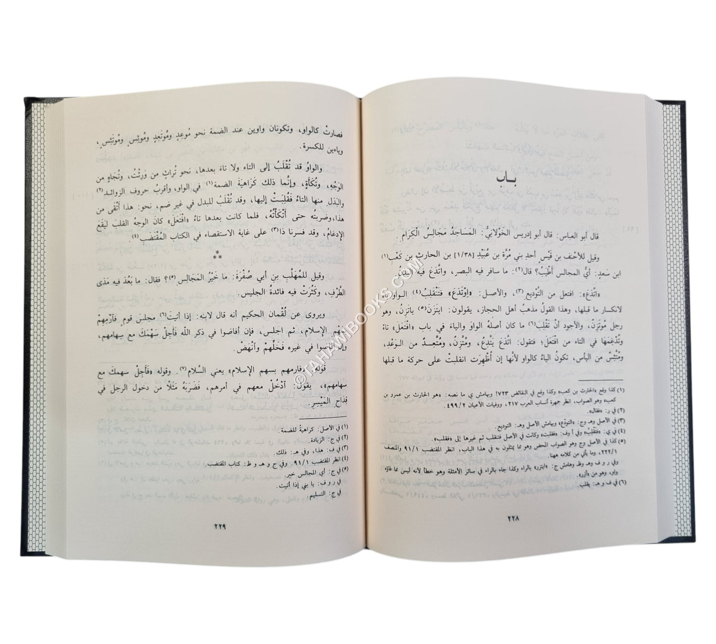 الكامل في الأدب واللغة-الرسالة