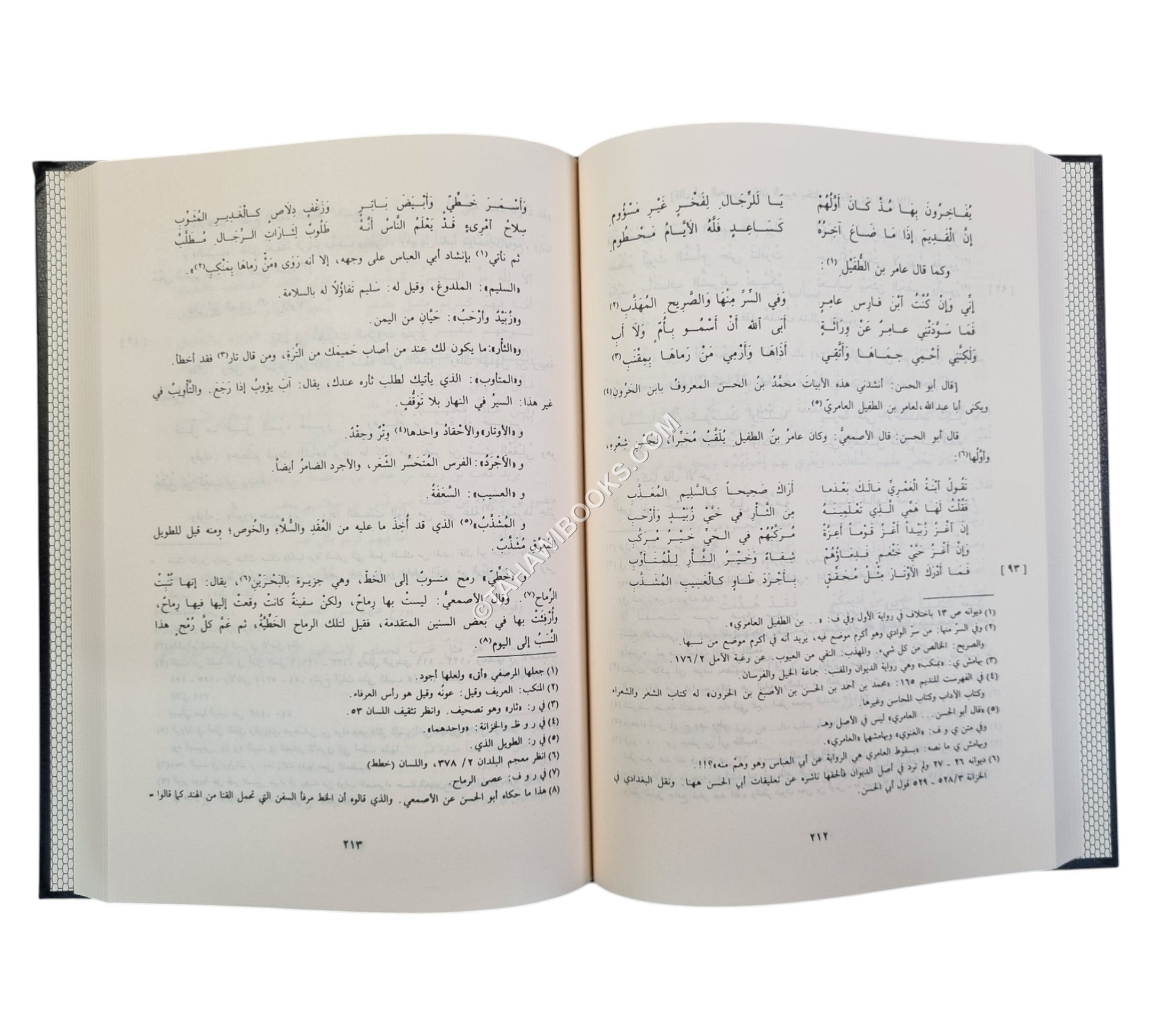 الكامل في الأدب واللغة-الرسالة