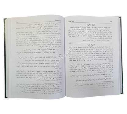 حاشية الخضري على شرح ابن عقيل على ألفية ابن مالك