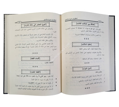 المطلع في شرح إيساغوجي في علم المنطق -ابن حزم