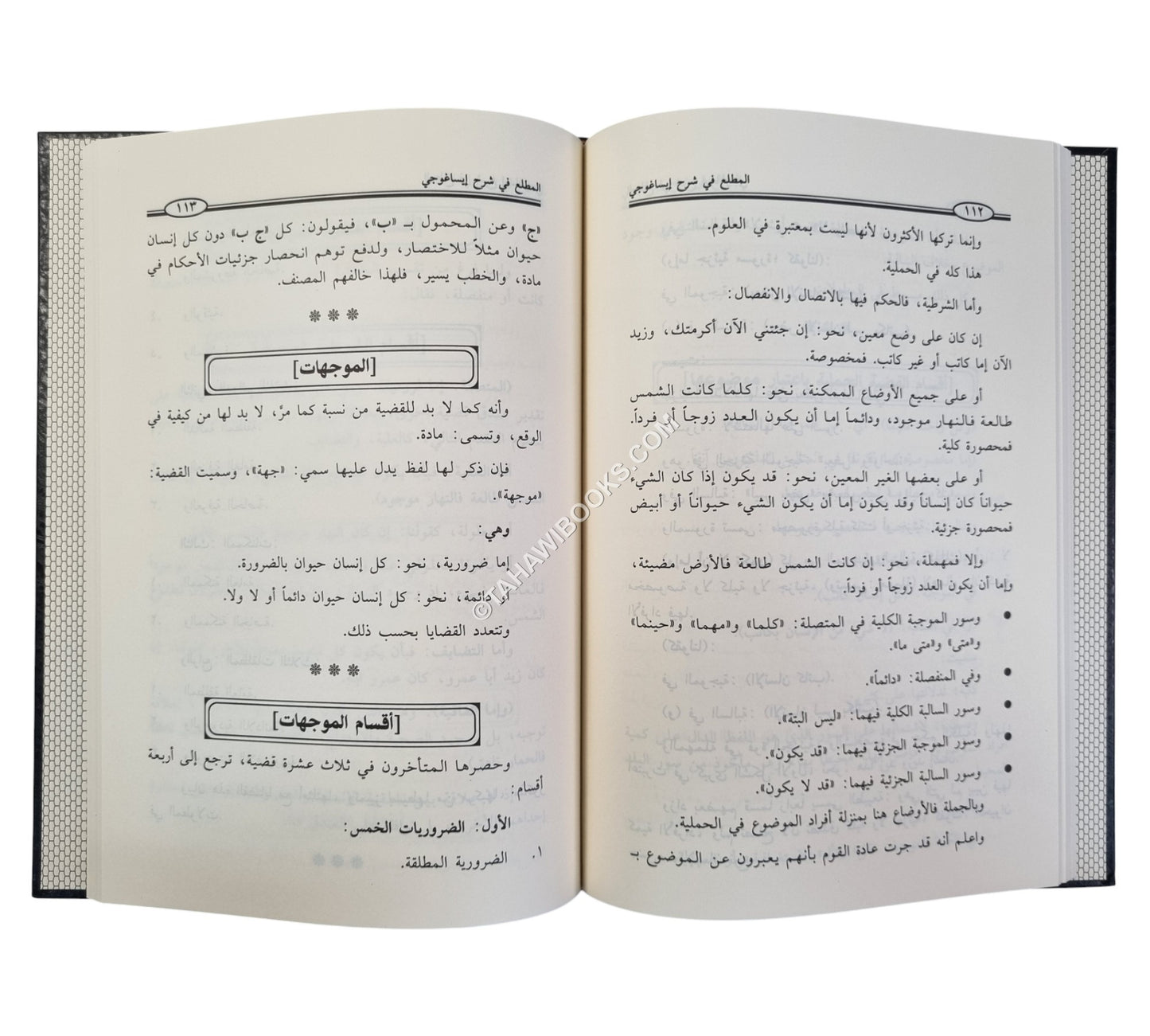 المطلع في شرح إيساغوجي في علم المنطق -ابن حزم