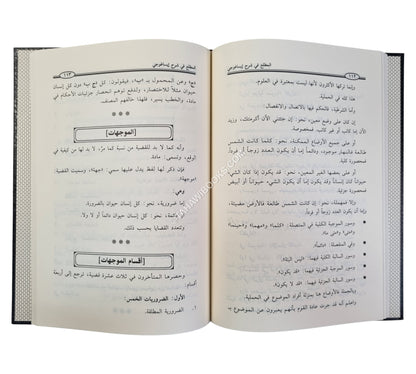 المطلع في شرح إيساغوجي في علم المنطق -ابن حزم