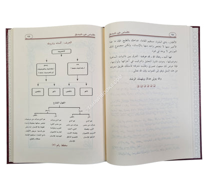 الأساس في المنطق