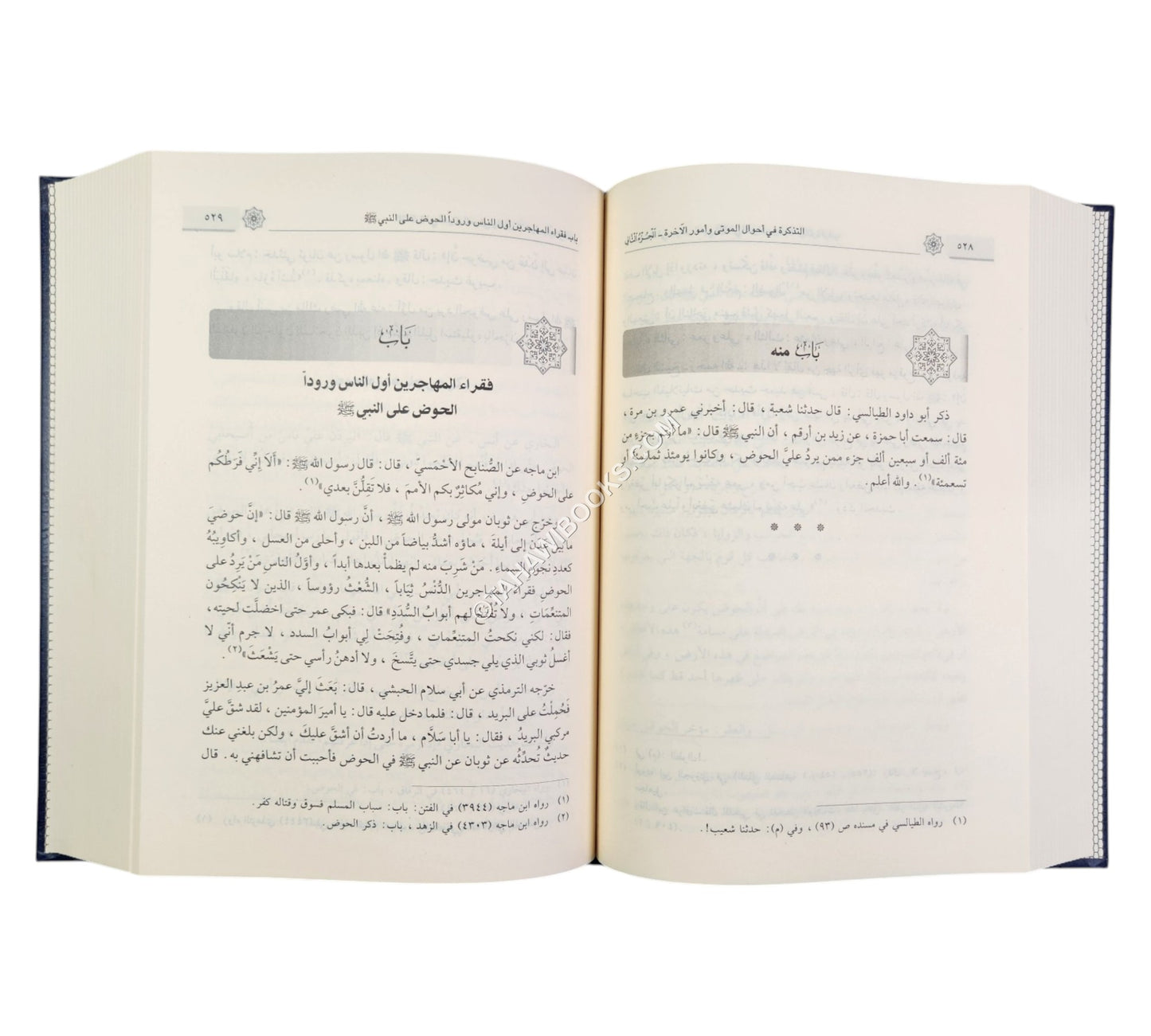 التذكرة في أحوال الموتى وأمور الآخرة-ابن كثير
