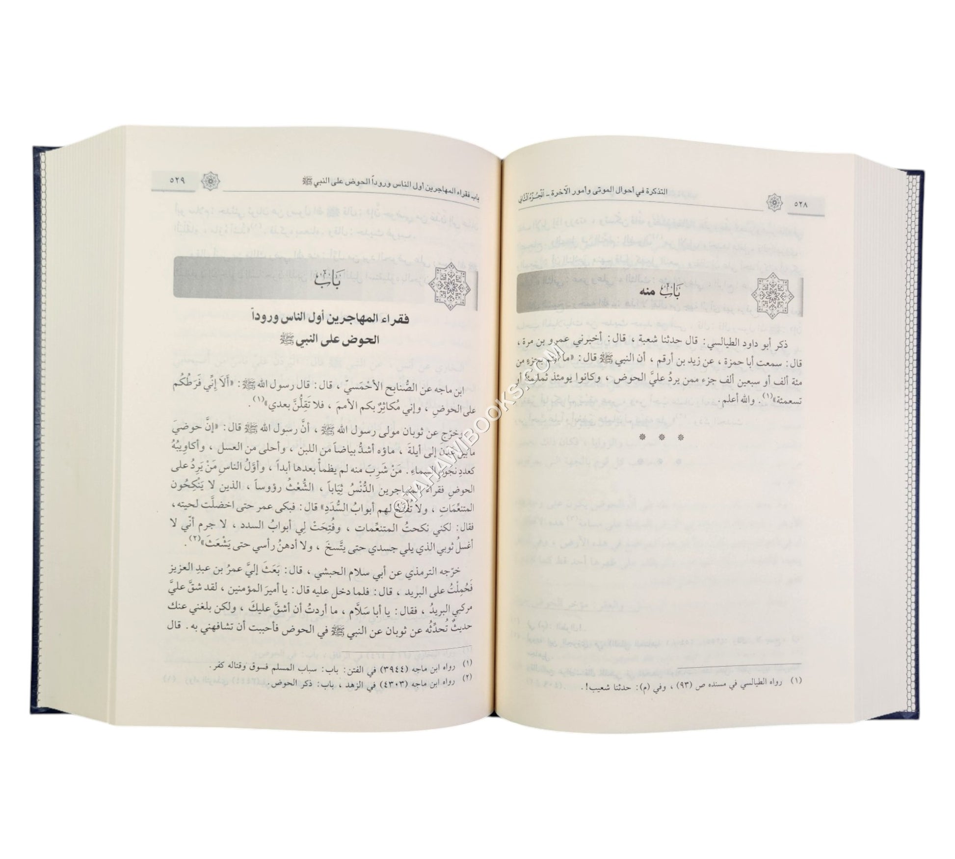 التذكرة في أحوال الموتى وأمور الآخرة-ابن كثير