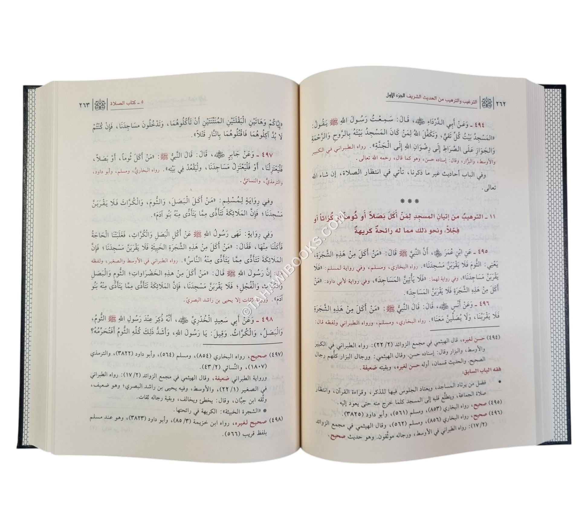 الترغيب والترهيب-ابن كثير