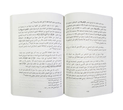 الجن في القرآن والسنة