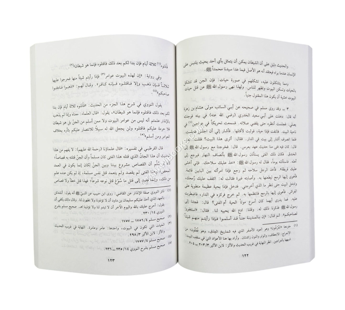 الجن في القرآن والسنة