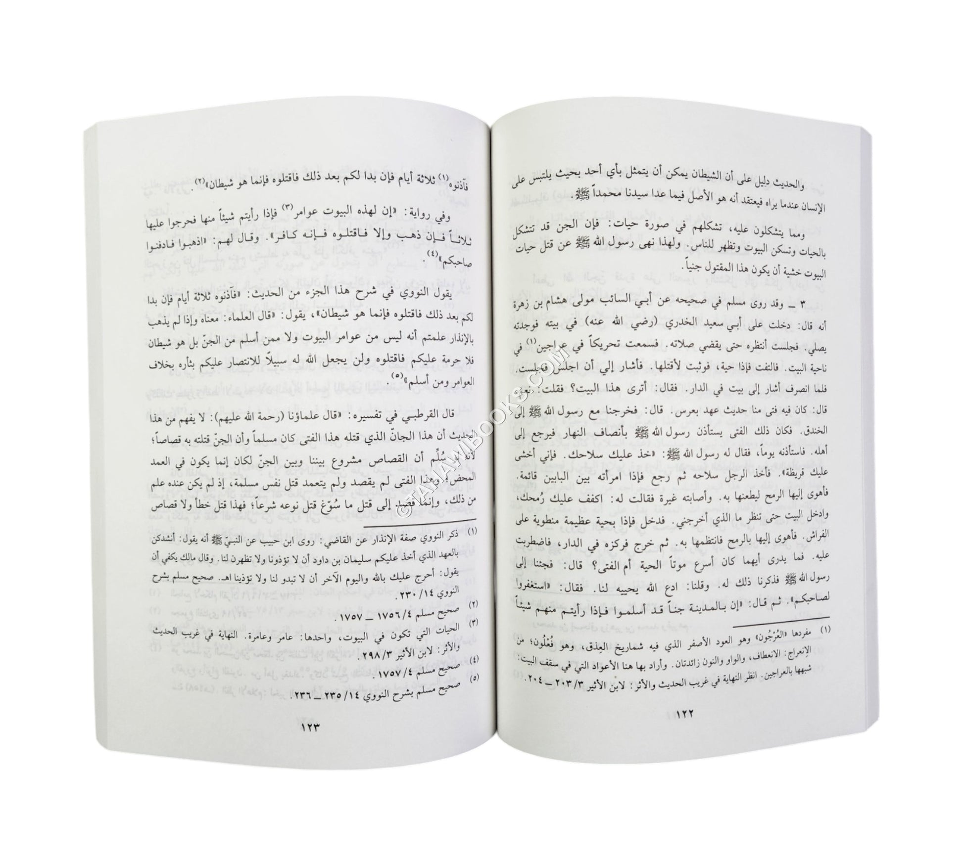 الجن في القرآن والسنة