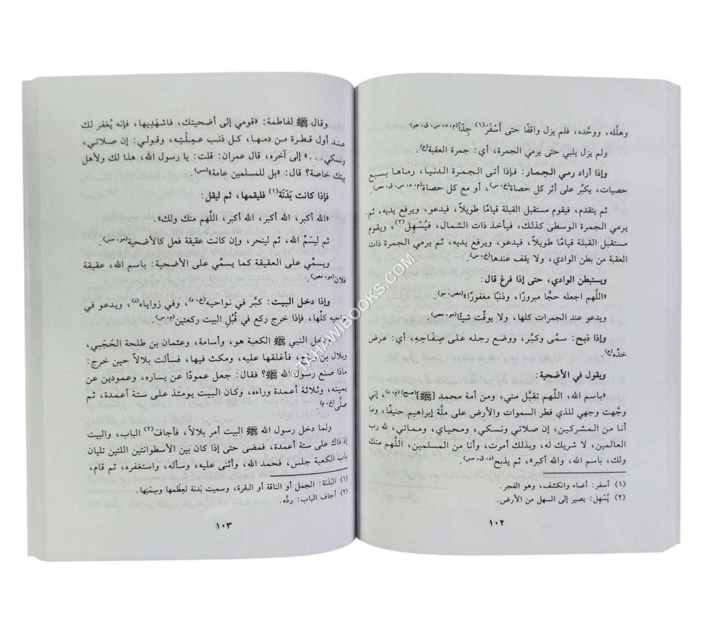 الحصن الحصين-البشائر-وسط