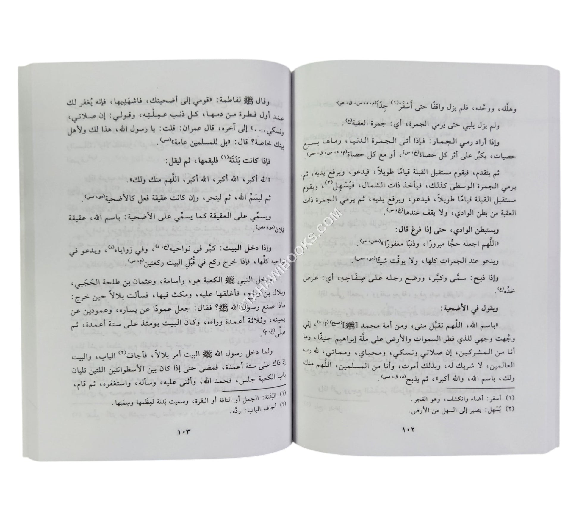 الحصن الحصين-البشائر-وسط