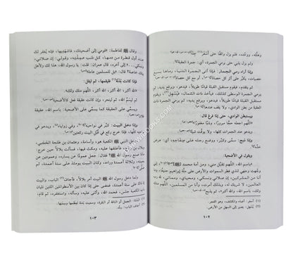 الحصن الحصين-البشائر-وسط
