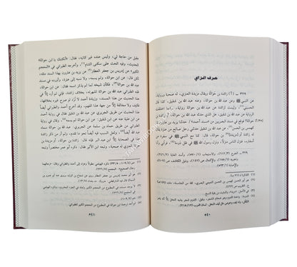 تعجيل المنفعة بزوائد رجال الأئمة الأربعة