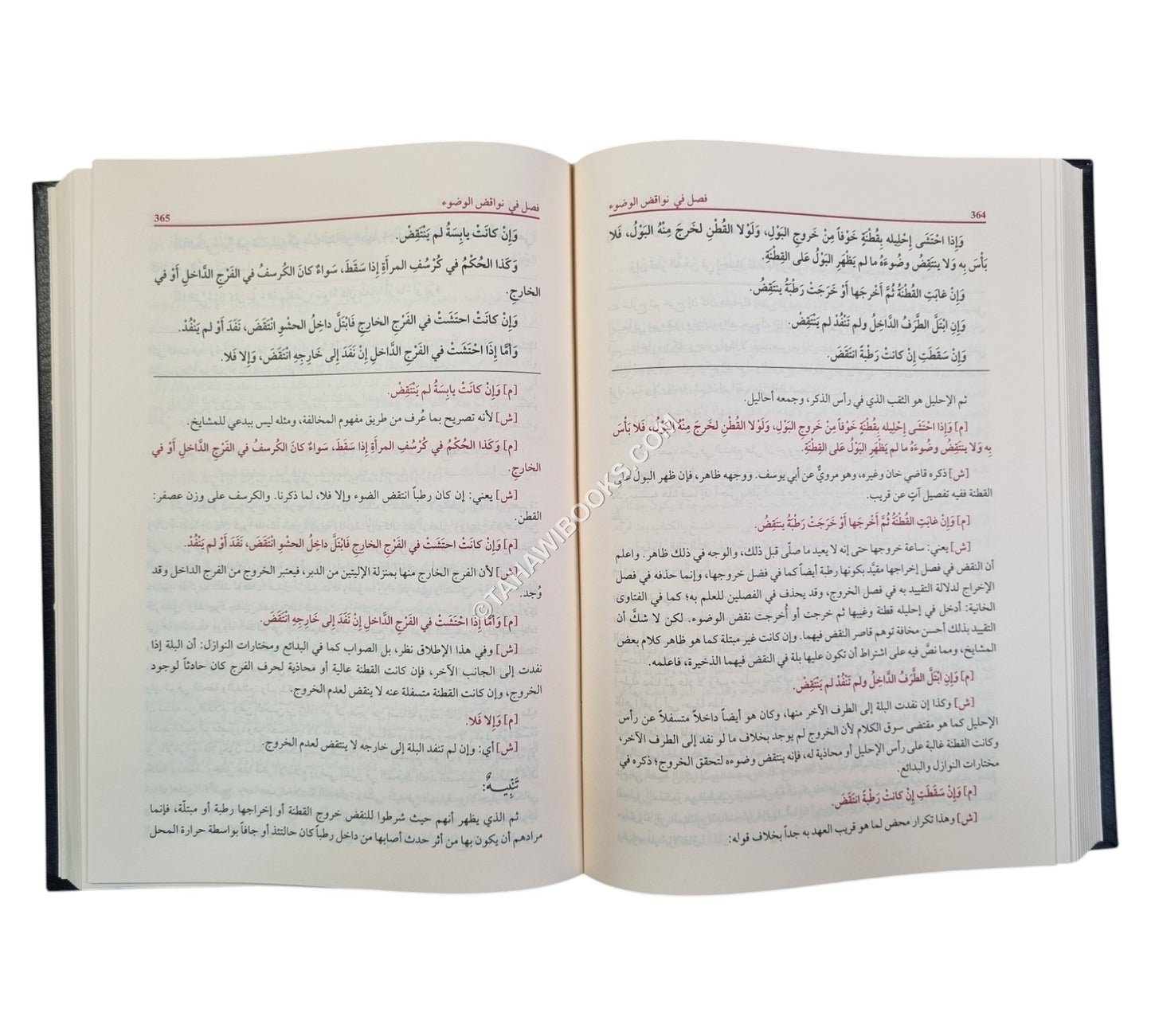 حلبة المجلي وبغية المهتدي في شرح منية المصلي للكاشغري