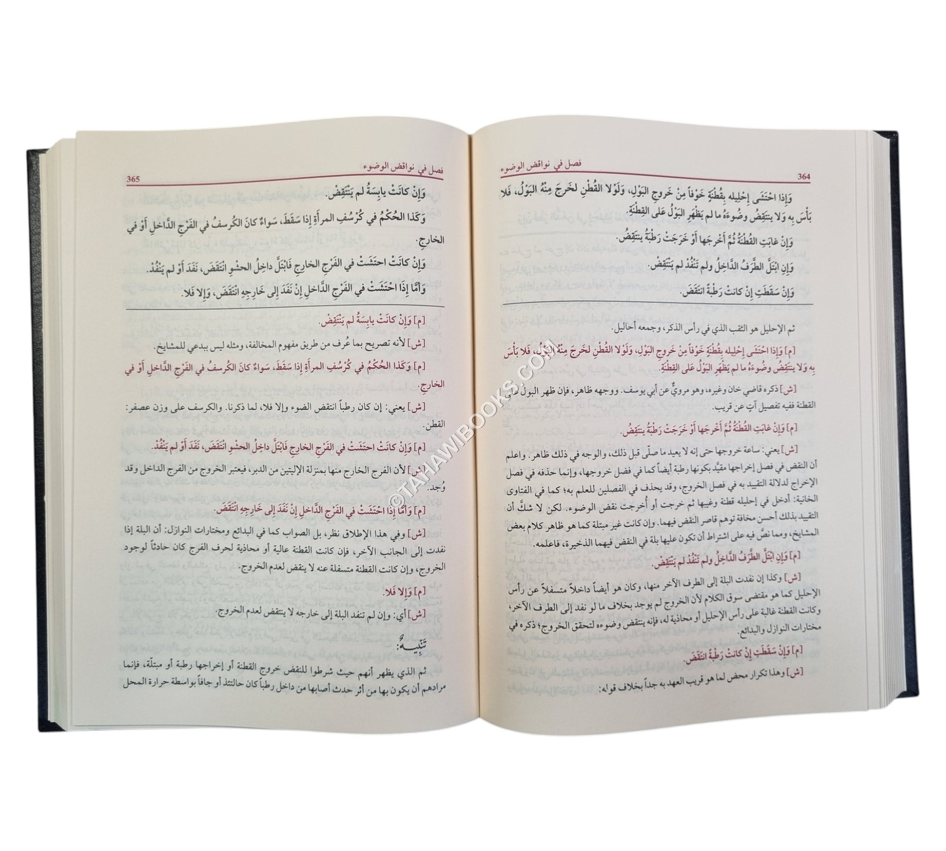 حلبة المجلي وبغية المهتدي في شرح منية المصلي للكاشغري