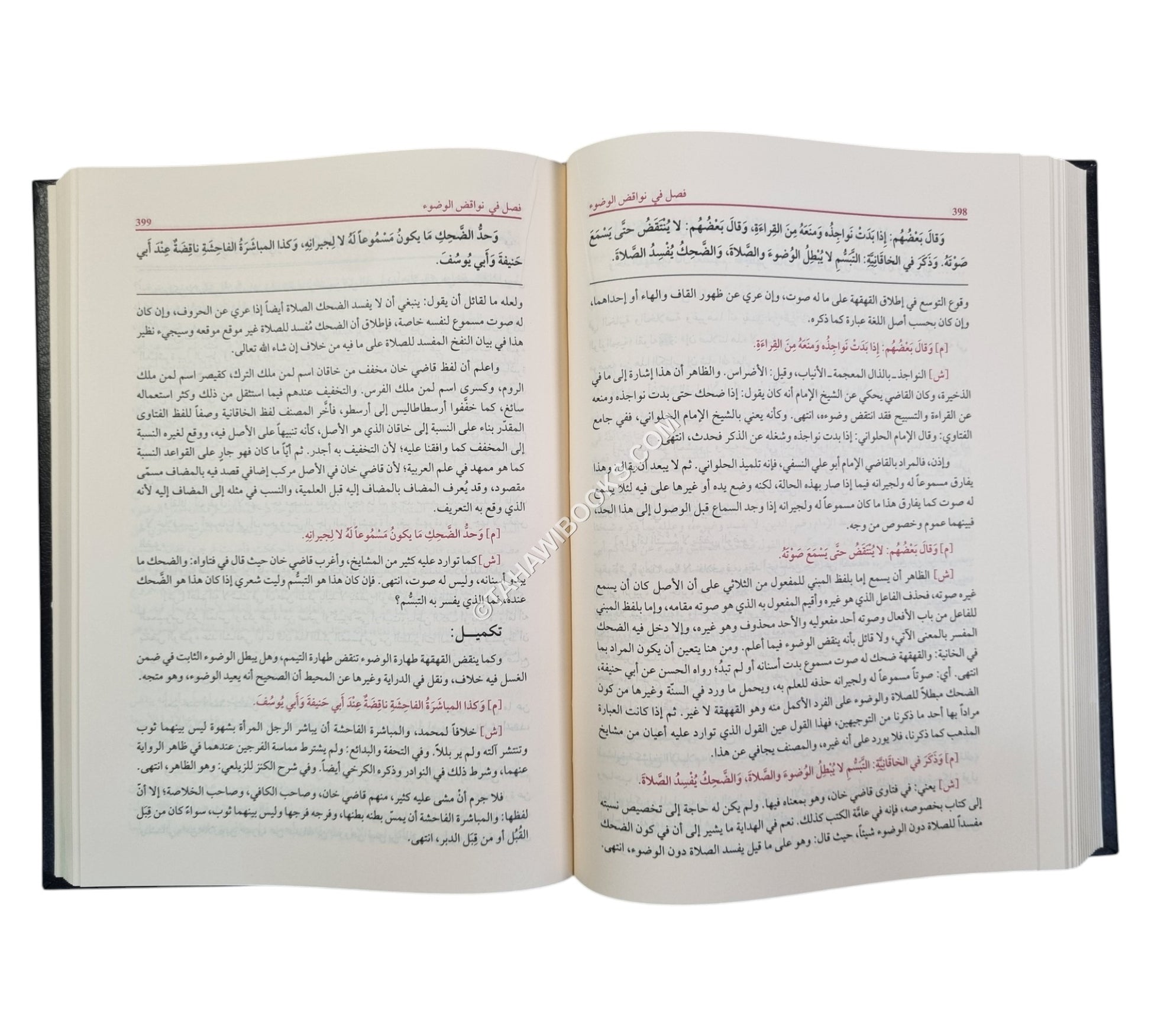 حلبة المجلي وبغية المهتدي في شرح منية المصلي للكاشغري