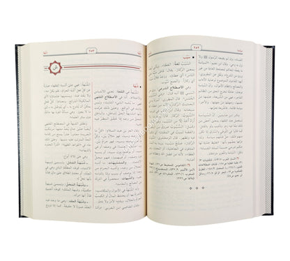 معجم المصطلحات المالية والاقتصادية