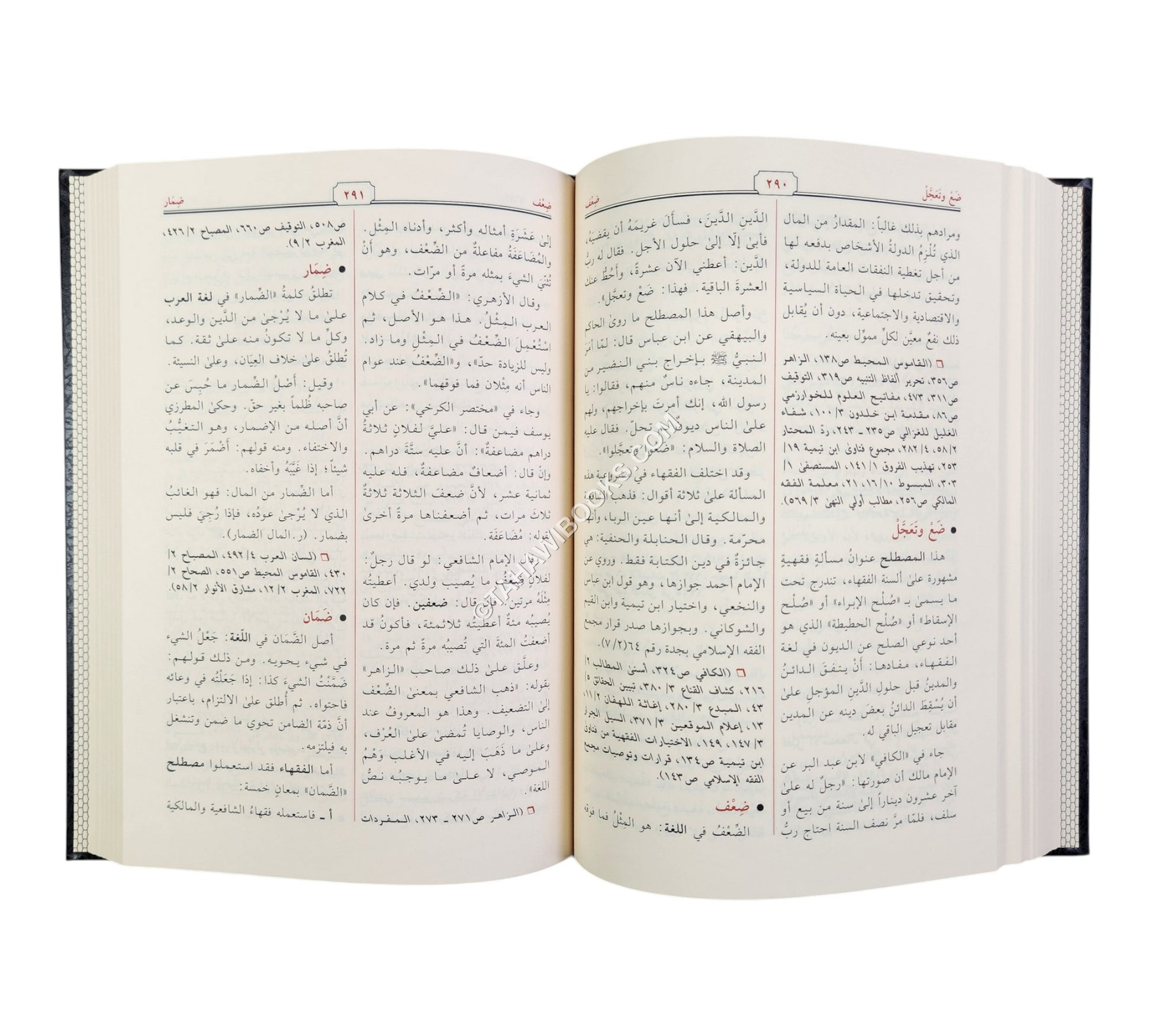 معجم المصطلحات المالية والاقتصادية